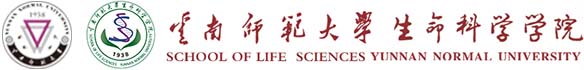 william威廉中文官网